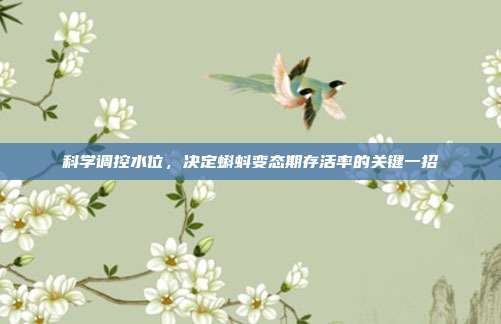 科学调控水位,决定蝌蚪变态期存活率的关键一招