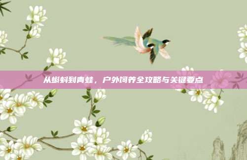 从蝌蚪到青蛙,户外饲养全攻略与关键要点