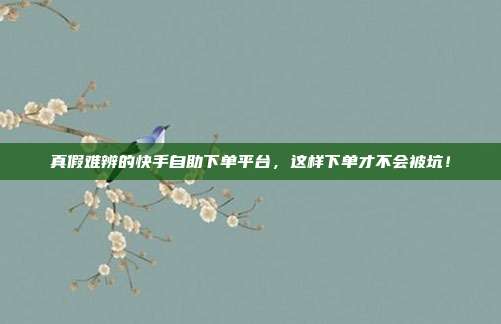 真假难辨的快手自助下单平台,这样下单才不会被坑!