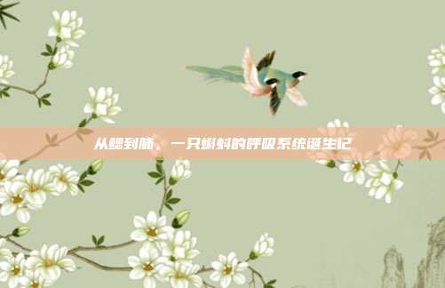 从鳃到肺,一只蝌蚪的呼吸系统诞生记