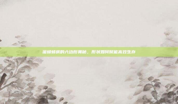 蜜蜂蜂房的六边形奥秘，形状如何赋能高效生存