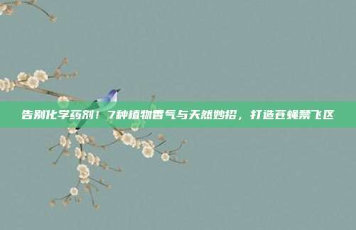 告别化学药剂！7种植物香气与天然妙招，打造苍蝇禁飞区