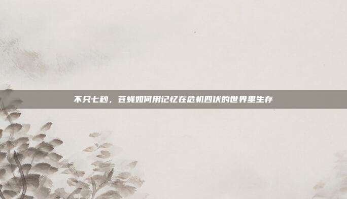 不只七秒,苍蝇如何用记忆在危机四伏的世界里生存