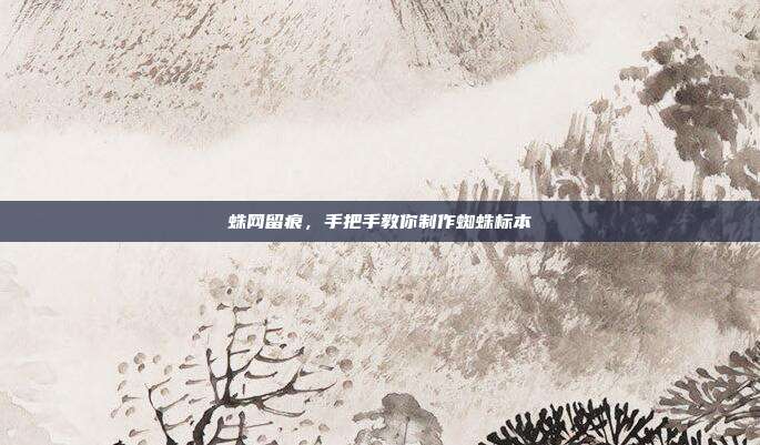 蛛网留痕，手把手教你制作蜘蛛标本