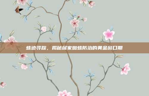 蛛迹寻踪，揭秘居家蜘蛛防治的黄金窗口期