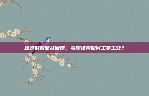 蜘蛛的精密武器库,毒腺结构如何主宰生死?