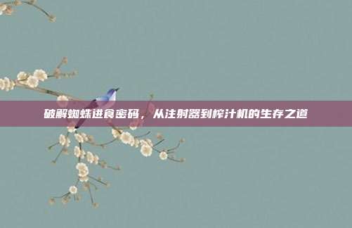 破解蜘蛛进食密码，从注射器到榨汁机的生存之道