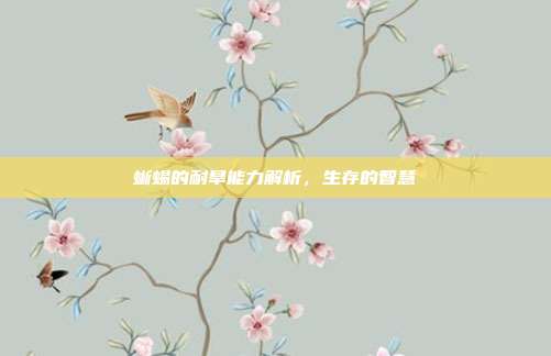 蜥蜴的耐旱能力解析,生存的智慧