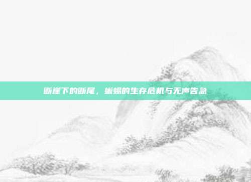 断崖下的断尾，蜥蜴的生存危机与无声告急