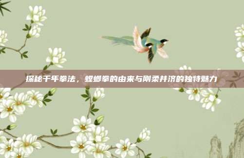 探秘千年拳法,螳螂拳的由来与刚柔并济的独特魅力