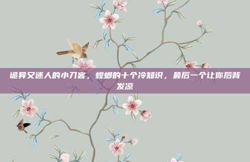 诡异又迷人的小刀客,螳螂的十个冷知识,最后一个让你后背发凉