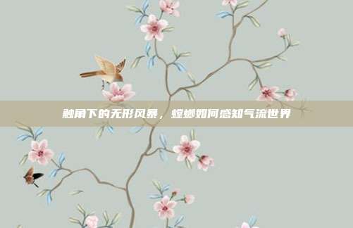 触角下的无形风暴,螳螂如何感知气流世界