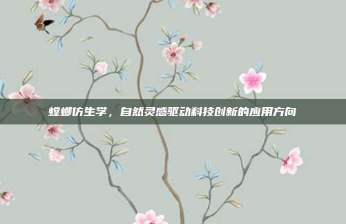 螳螂仿生学,自然灵感驱动科技创新的应用方向