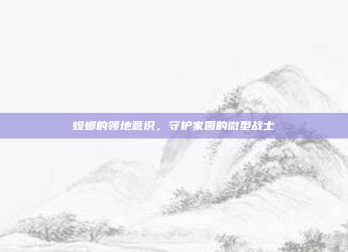 螳螂的领地意识,守护家园的微型战士