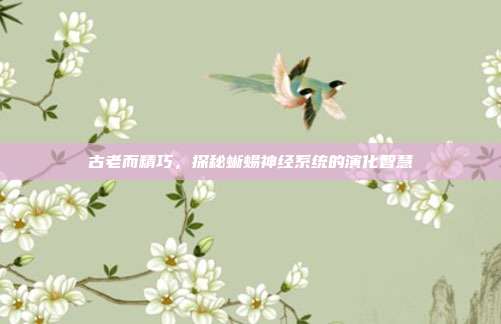 古老而精巧,探秘蜥蜴神经系统的演化智慧