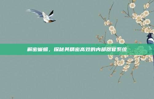 解密蜥蜴,探秘其精密高效的内部器官系统