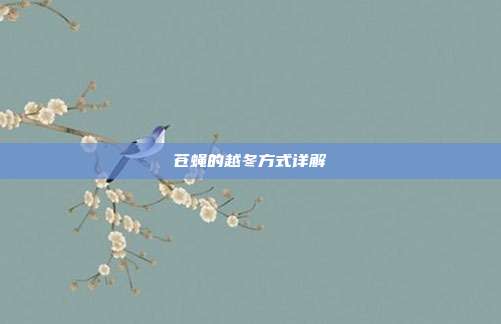 苍蝇的越冬方式详解