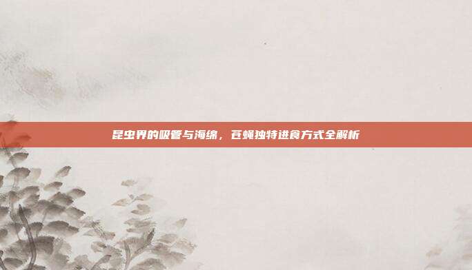 昆虫界的吸管与海绵,苍蝇独特进食方式全解析