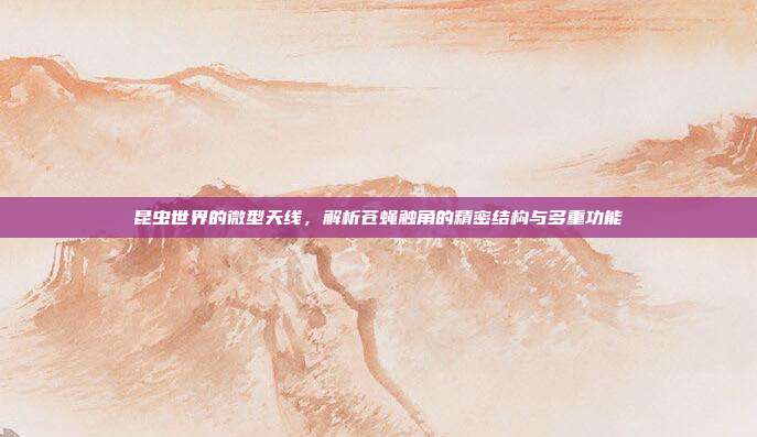 昆虫世界的微型天线,解析苍蝇触角的精密结构与多重功能