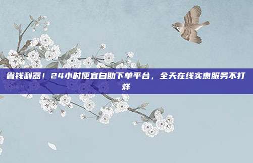 省钱利器!24小时便宜自助下单平台,全天在线实惠服务不打烊
