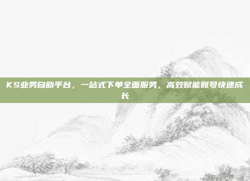 KS业务自助平台，一站式下单全面服务，高效赋能账号快速成长