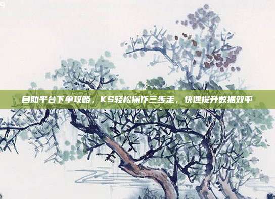 自助平台下单攻略，KS轻松操作三步走，快速提升数据效率