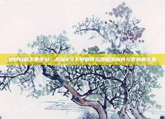蚂蚁自助下单平台，揭秘KS下单如何实现稳定高效与零数据丢失