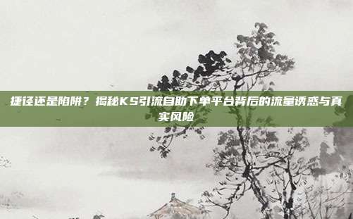 捷径还是陷阱？揭秘KS引流自助下单平台背后的流量诱惑与真实风险