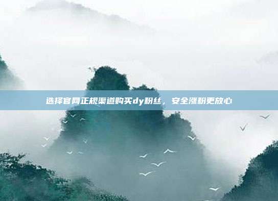 选择官网正规渠道购买dy粉丝，安全涨粉更放心