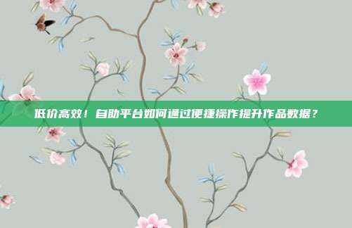 低价高效！自助平台如何通过便捷操作提升作品数据？