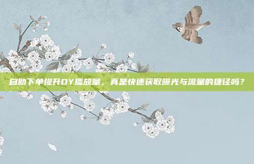 自助下单提升DY播放量，真是快速获取曝光与流量的捷径吗？