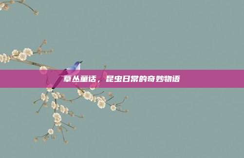 草丛童话,昆虫日常的奇妙物语