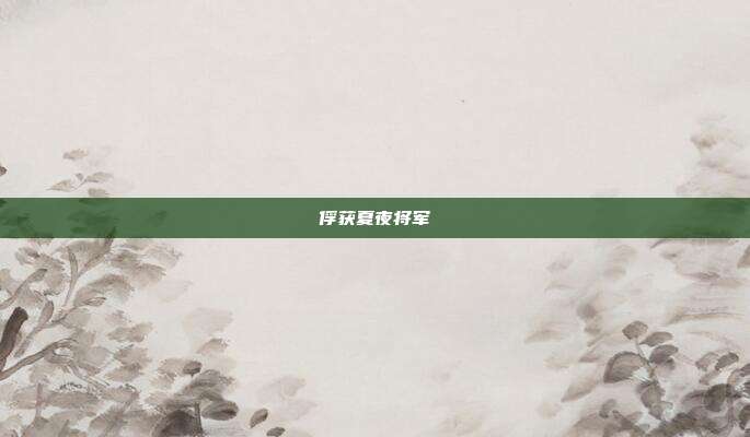 俘获夏夜将军