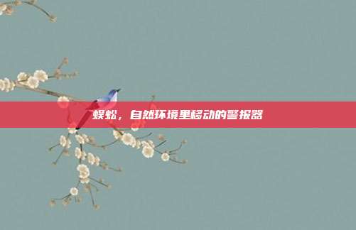 蜈蚣，自然环境里移动的警报器