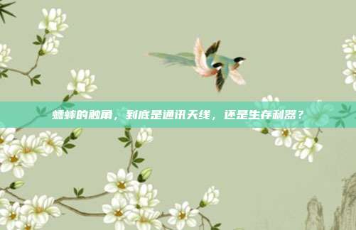 蟋蟀的触角,到底是通讯天线,还是生存利器?