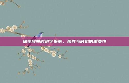 狐狸放生的科学指南,条件与时机的重要性