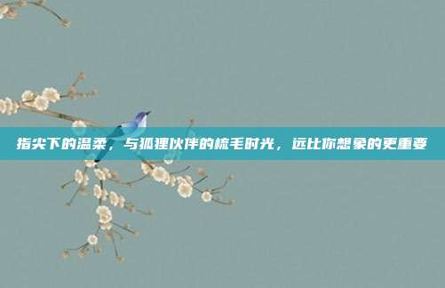 指尖下的温柔，与狐狸伙伴的梳毛时光，远比你想象的更重要