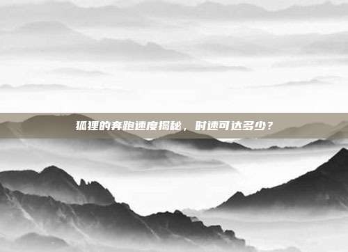 狐狸的奔跑速度揭秘，时速可达多少？