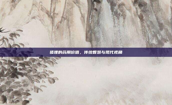 狐狸的药用价值,传统智慧与现代视角