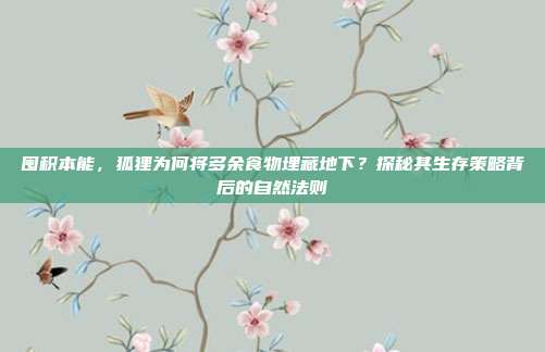 囤积本能,狐狸为何将多余食物埋藏地下?探秘其生存策略背后的自然法则