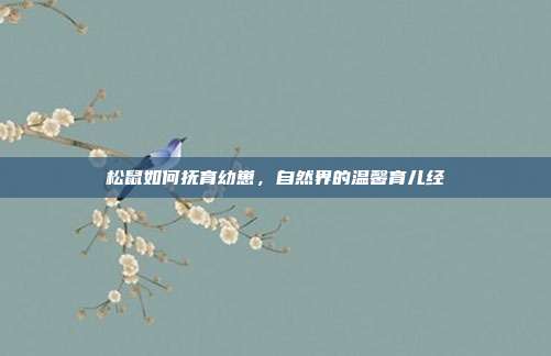 松鼠如何抚育幼崽，自然界的温馨育儿经