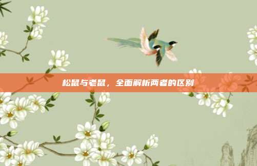 松鼠与老鼠，全面解析两者的区别