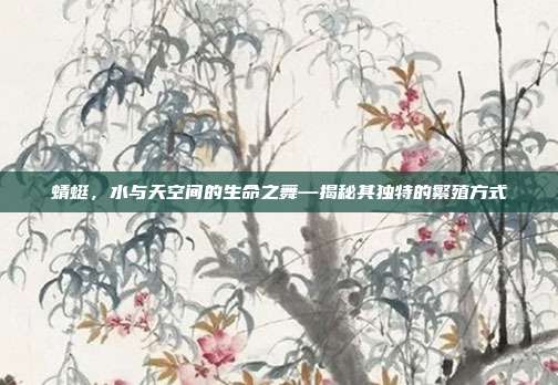 蜻蜓，水与天空间的生命之舞—揭秘其独特的繁殖方式