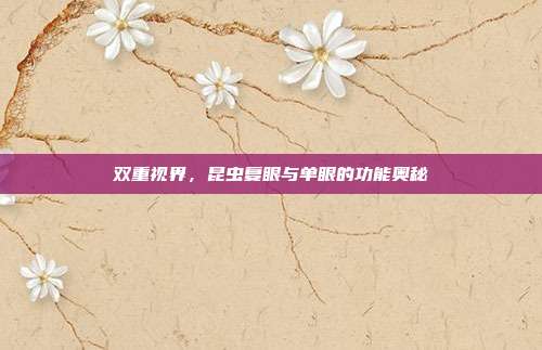 双重视界，昆虫复眼与单眼的功能奥秘