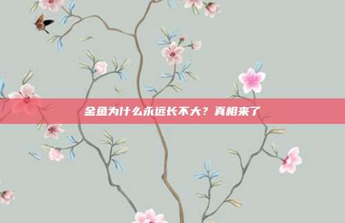 金鱼为什么永远长不大？真相来了