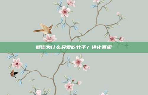 熊猫为什么只爱吃竹子？进化真相
