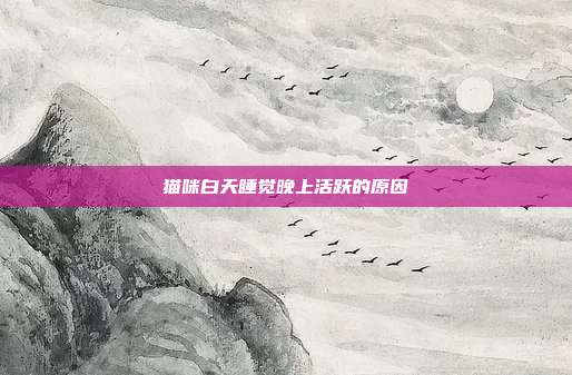 猫咪白天睡觉晚上活跃的原因