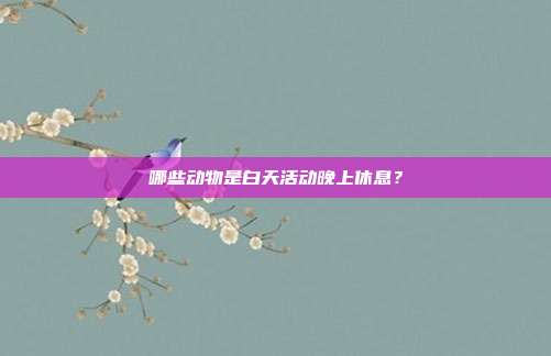 哪些动物是白天活动晚上休息？