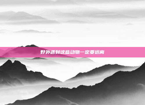 野外遇到这些动物一定要远离