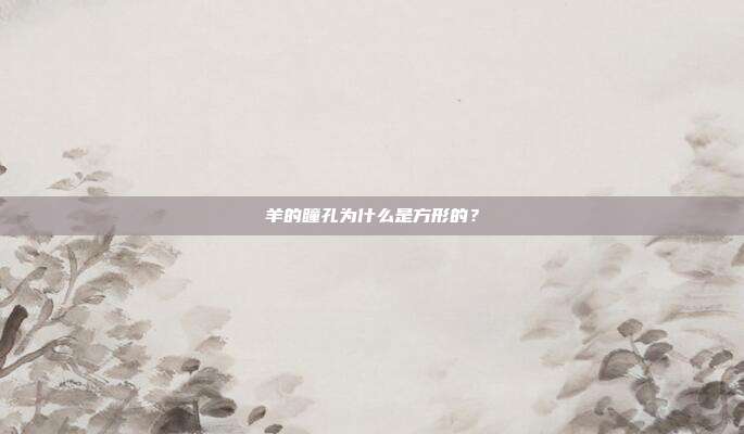 羊的瞳孔为什么是方形的？